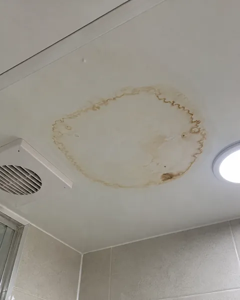 아랫집 욕실 천장에 번진 누런 물 자국 사진