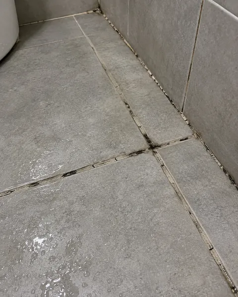 갈라지고 검게 변한 욕실 바닥 타일 줄눈 사진